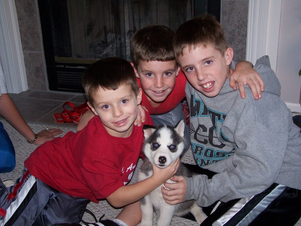 Three boys and a husky