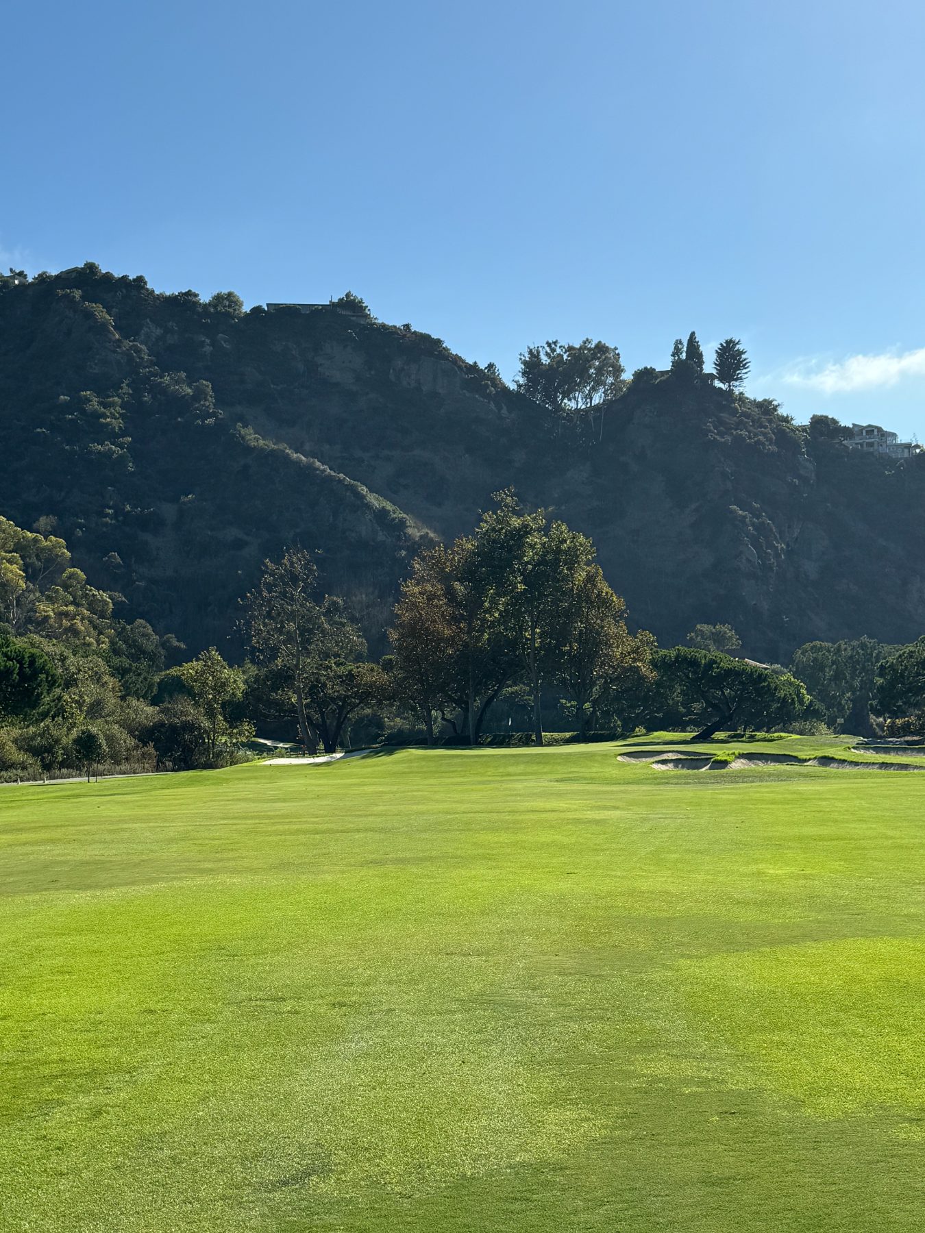 The Ranch