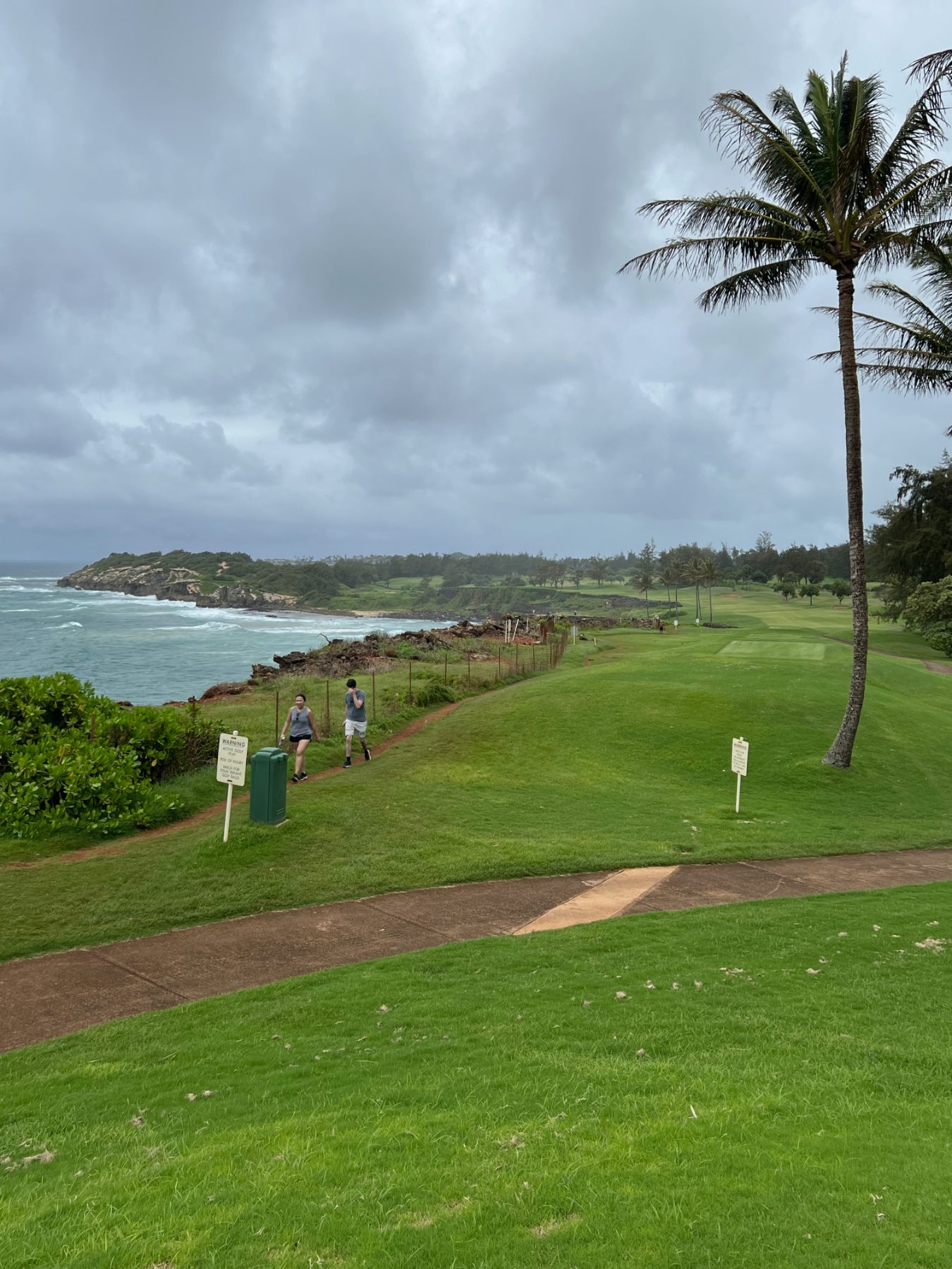 Surf below the coastal holes