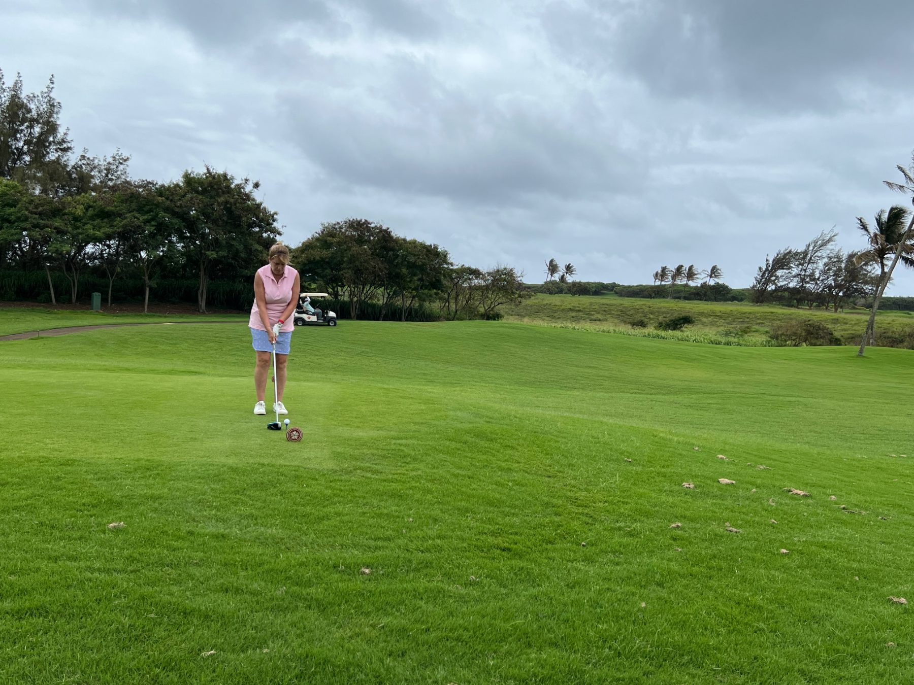 Fairway shot with cart behind