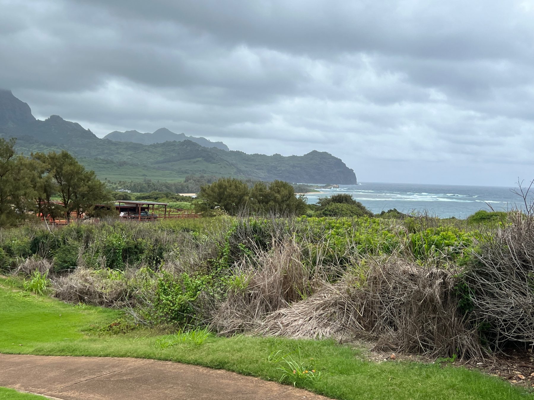 Coastline and mountains